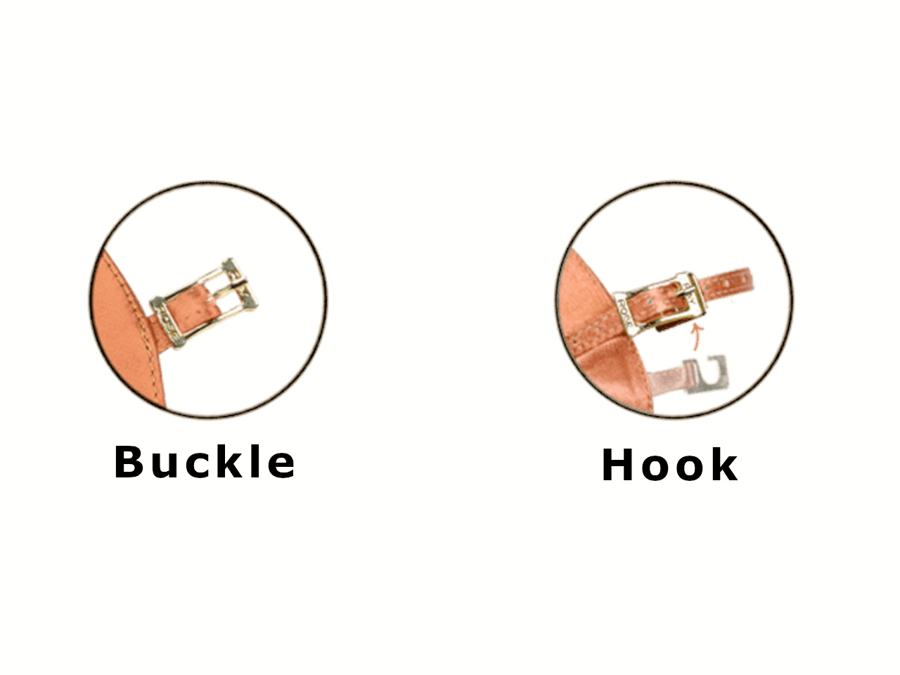 Buckle and hood fastener illustration